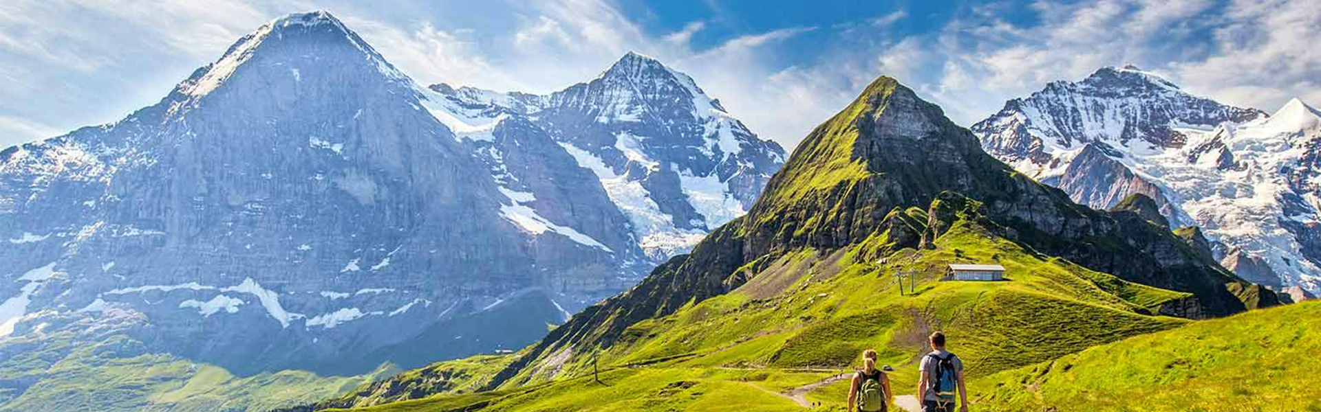 Buzcularyolu - Zirvetepe